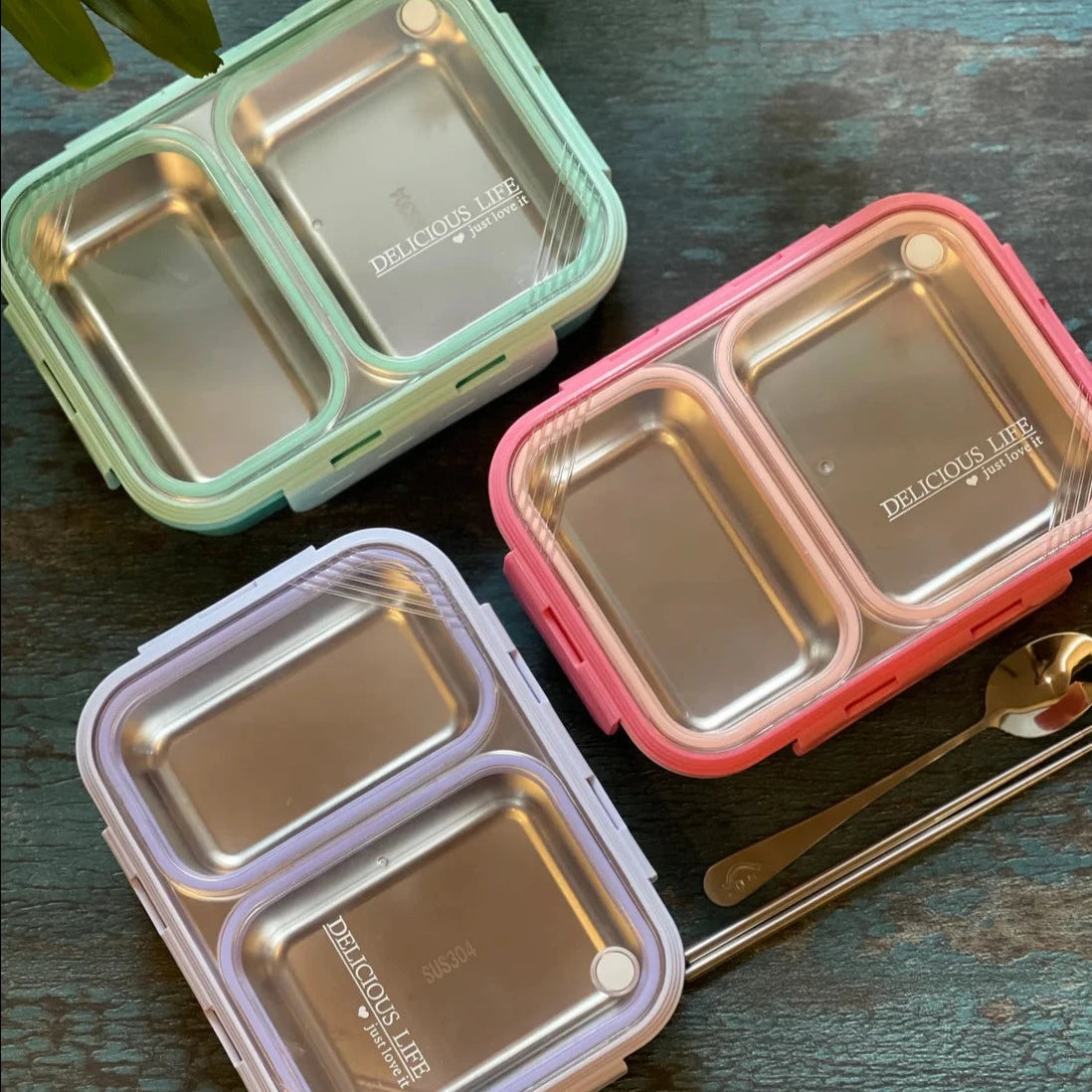 Stainless Steel Bento Lunch Box (2 Grid) - 100% Leakproof